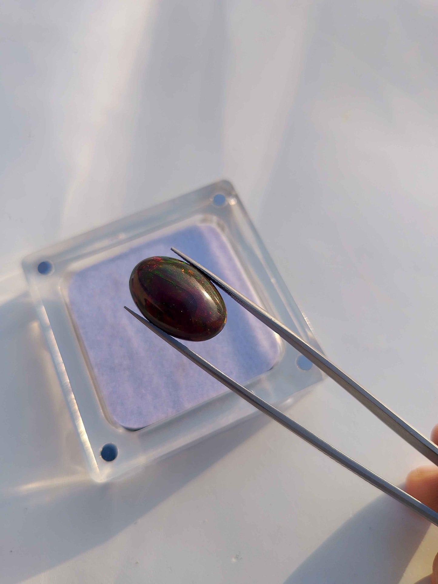 Natural Black Opal Gemstone Cabochon 10.4 carat