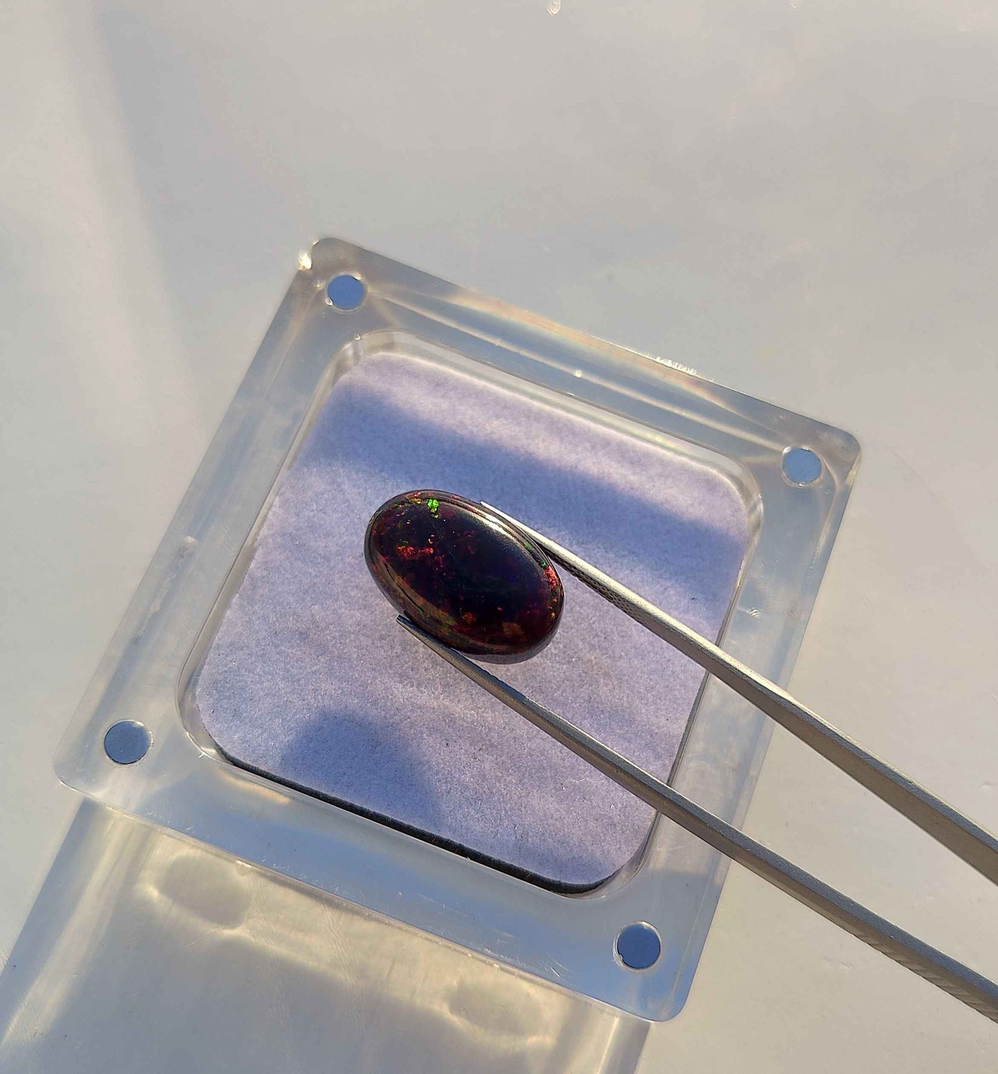 Natural Black Opal Gemstone Cabochon 10.4 carat