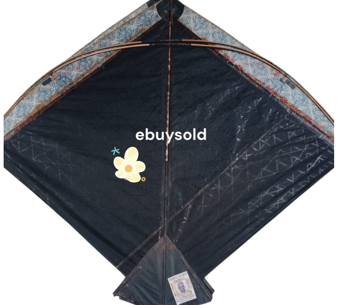 Kites Pack of 2