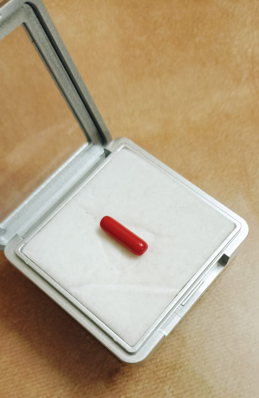 Natural Red Coral Capsule 3.60-3.85 Carat 1 Piece