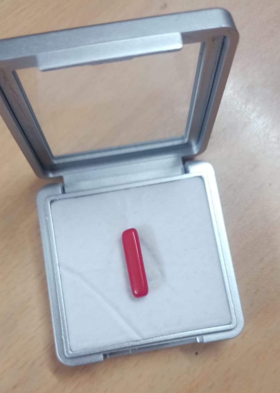 Natural Red Coral Moonga Capsule Shape 3.50 Carat