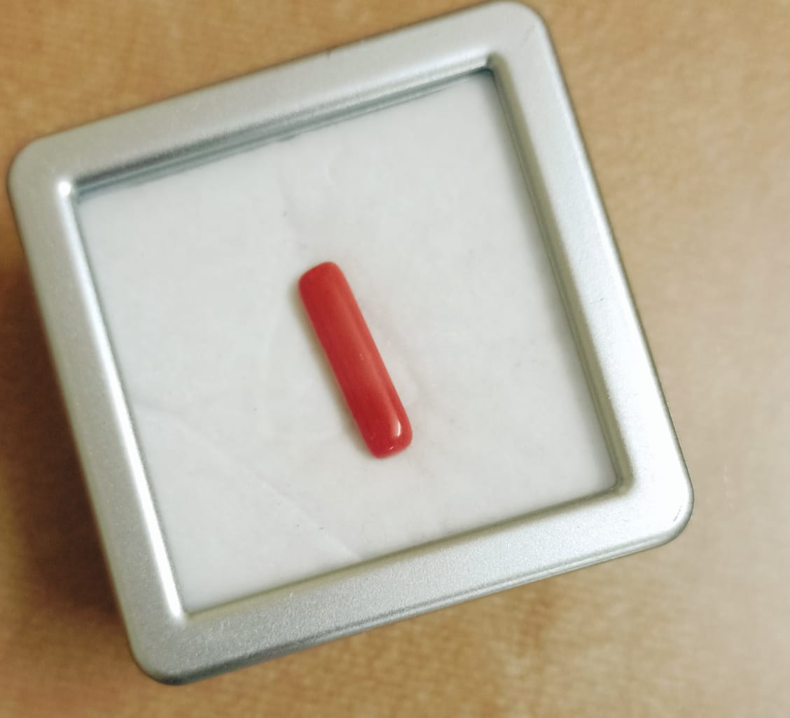 Natural Red Coral Moonga Capsule Shape  5-6 Carats