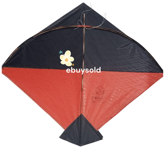 Patang Pack of 10