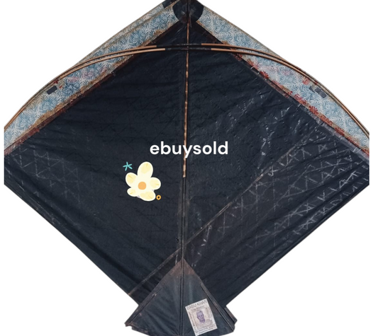 Kites Pack of 2