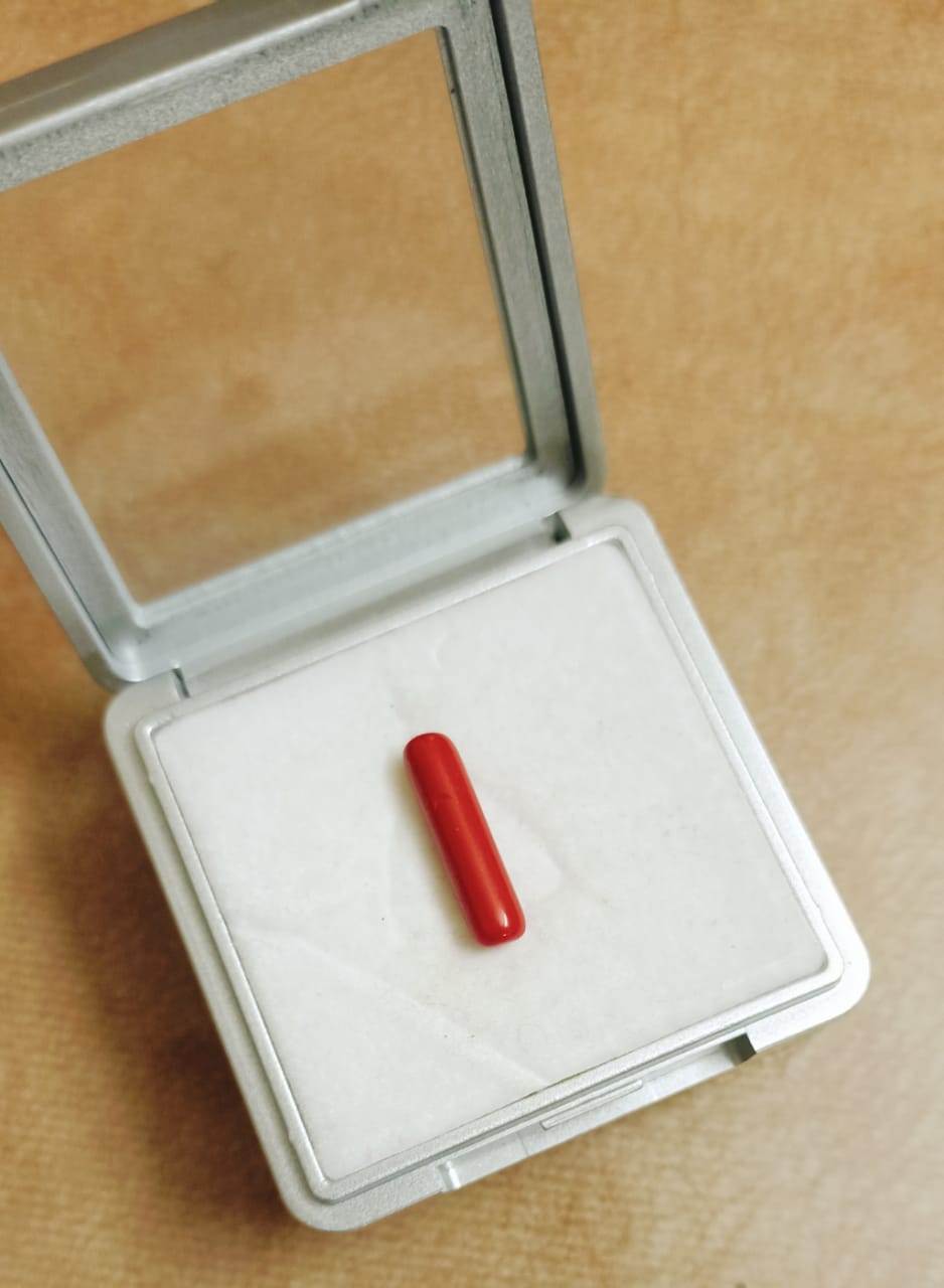 Natural Red Coral - Moonga  Capsule Shape  6.00 +  Carat 1 Piece