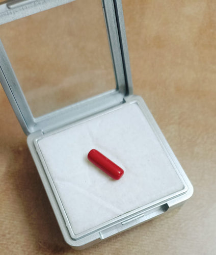 Natural Red Coral Moonga Capsule Shape  2.5-.3.0 carat Mix Size  1 Piece