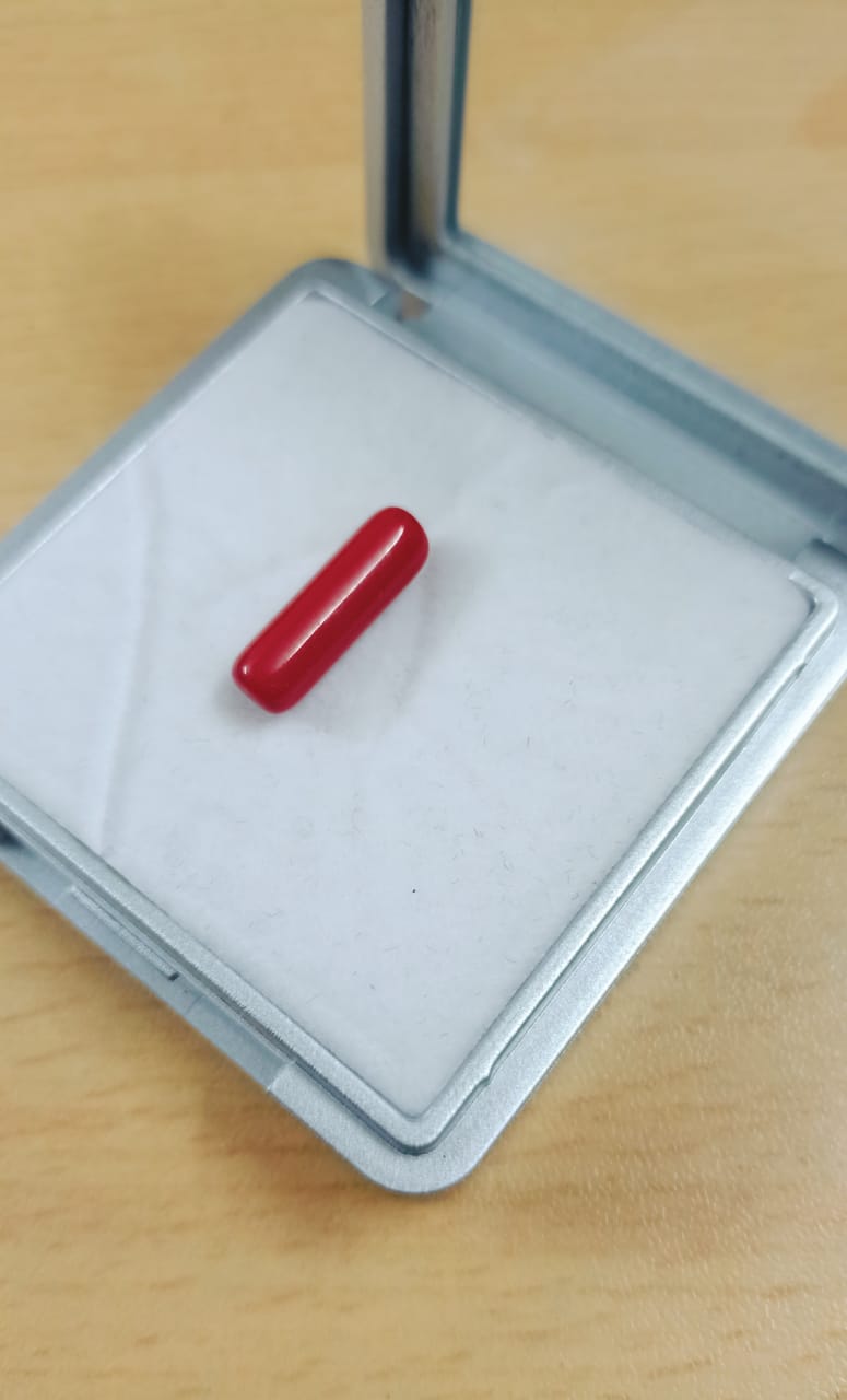 Natural Red Coral (Moonga)  Capsule Shape  2.5-.3.0 carat Mix Size  ( 1 Piece)